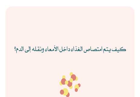 مكونات الجهاز الهضمي للإنسان: رحلة الطعام داخل الجسم 15 عملية الهضم عند الإنسان