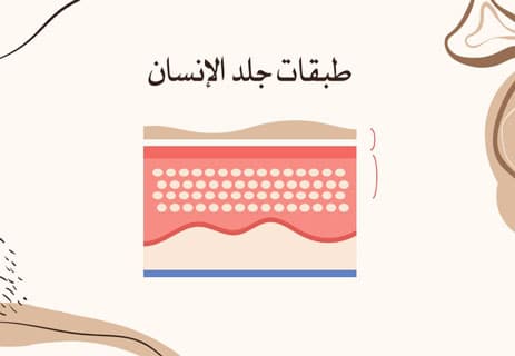 طبقات جلد الإنسان ووظائفها بالتفصيل