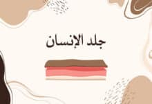 جلد الإنسان؛ طبقات جلد الإنسان؛ وظائف جلد الإنسان؛ أنواع الجلد