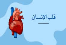قلب الإنسان