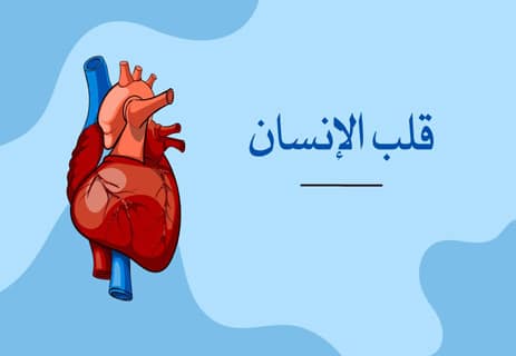 قلب الإنسان: المضخة العجيبة التي تعمل بلا توقف 13 قلب الإنسان