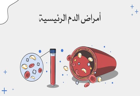 مكونات دم الإنسان: رحلة داخل شرايين الحياة 12 مكونات دم الإنسان