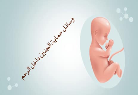 مراحل تكوين الجنين: عالم كامل يتشكل في تسعة أشهر 17 الأغشية المحيطة بالجنين