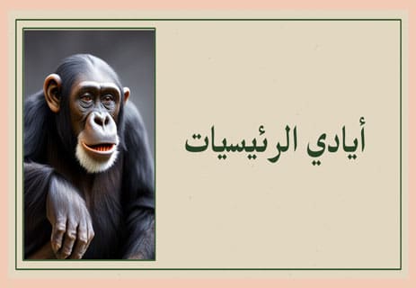 يد الإنسان: المحرّك الصامت للتطور الإنساني 11 تطور الرئيسيات
