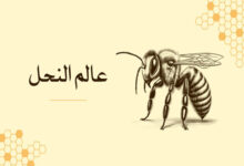 أسرار عالم النحل: المملكة الخفية التي تحفظ الحياة على الأرض 43 عالم النحل - حياة النحل - أنواع النحل