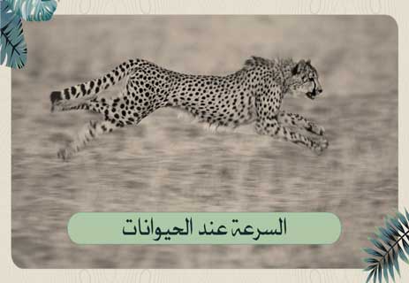 عالم الحيوان
