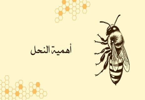أسرار عالم النحل: المملكة الخفية التي تحفظ الحياة على الأرض 20 أهمية النحل