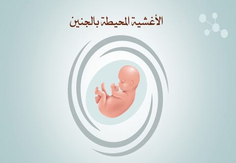 مراحل تكوين الجنين: عالم كامل يتشكل في تسعة أشهر 14 الأغشية المحيطة بالجنين