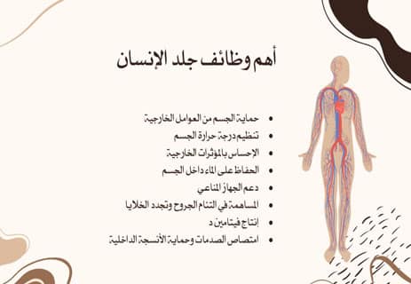 ما هي وظائف جلد الإنسان