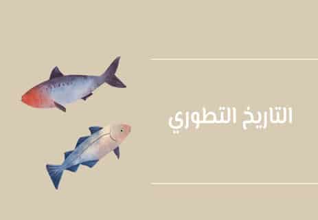 يد الإنسان: المحرّك الصامت للتطور الإنساني 10 تشريح يد الإنسان
