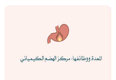 مكونات الجهاز الهضمي للإنسان: رحلة الطعام داخل الجسم 11 مكونات الجهاز الهضمي