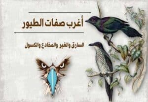 Read more about the article أغرب صفات الطيور: السارق والغيور والمخادع والكسول