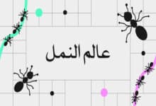 عالم النمل - حياة النمل - أنواع النمل