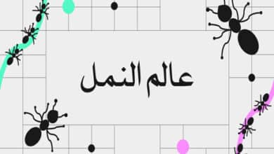 عالم النمل - حياة النمل - أنواع النمل