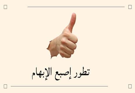 يد الإنسان: المحرّك الصامت للتطور الإنساني 12 أصابع اليد البشرية