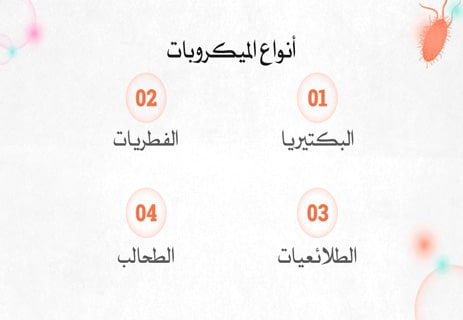 الميكروبات: الكائنات الخفية التي تحفظ توازن الحياة 10 الميكروبات النافعة والضارة