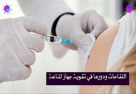 الجهاز المناعي: أعظم نظام دفاعي داخل جسم الإنسان 13 تقوية جهاز المناعة