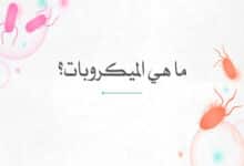 ما هي الميكروبات؟