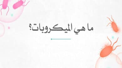 ما هي الميكروبات؟