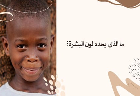 كيف يحدد الميلانين لون البشرة