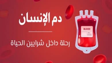 دم الإنسان؛ وظائف الدم الرئيسية؛ مكونات الدم؛