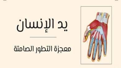 يد الإنسان