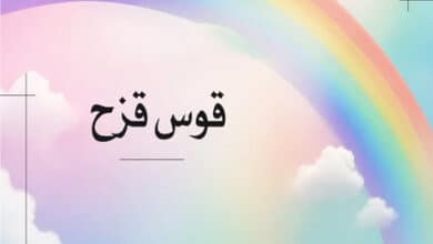 قوس قزح