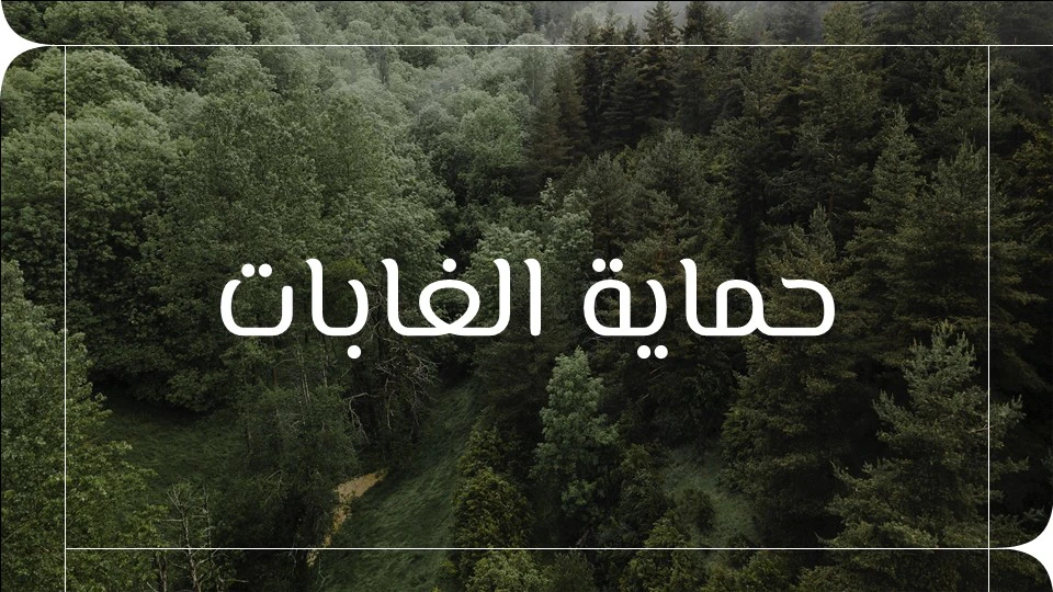 حلول الاحتباس الحراري: 25 طريقة فعالة للحد من تغير المناخ 12 طرق الحد من الاحتباس الحراري