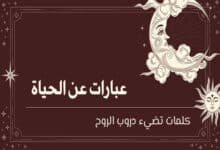 عبارات عن الحياة