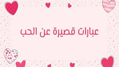 عبارات قصيرة عن الحب