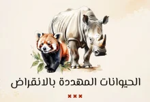 حيوانات مهددة بالانقراض ستختفي خلال سنوات قليلة 23 الحيوانات المهددة بالانقراض