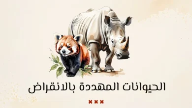 الحيوانات المهددة بالانقراض