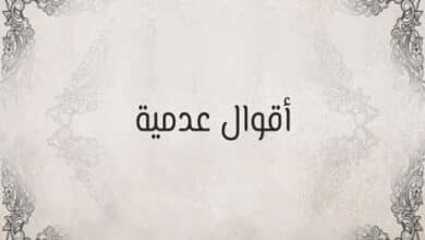 أقوال عدمية