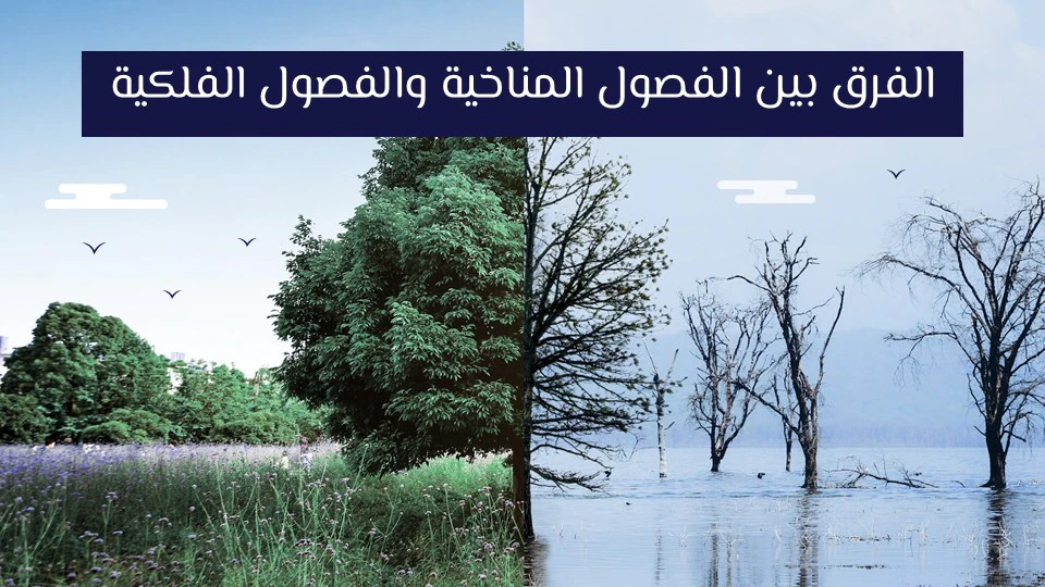 الفصول المناخية الأربعة: لماذا يتغير الطقس باستمرار خلال العام؟ 11 الفصول المناخية والفصول الفلكية