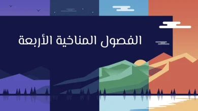 الفصول المناخية الأربعة