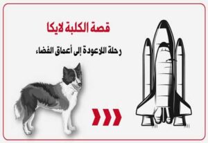 Read more about the article قصة الكلبة لايكا: رحلة اللاعودة إلى أعماق الفضاء