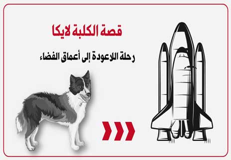 You are currently viewing قصة الكلبة لايكا: رحلة اللاعودة إلى أعماق الفضاء