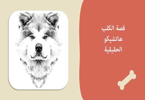You are currently viewing كشف الستار عن قصة الكلب هاتشيكو الحقيقية