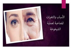 Read more about the article الأسباب والتغيرات المصاحبة لعملية الشيخوخة