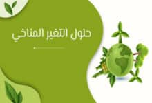 حلول التغير المناخي من المنزل: 10 خطوات عملية تقلل الانبعاثات 31 حلول التغير المناخي