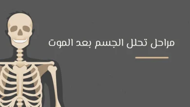 كم يستغرق الجسم ليتحلل .. مراحل تحلل الميت