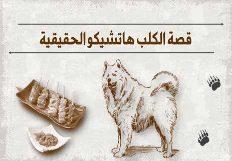 You are currently viewing قصة الكلب هاتشيكو الوفي بين الحقيقة والأسطورة