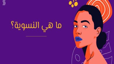 مفهوم النسوية