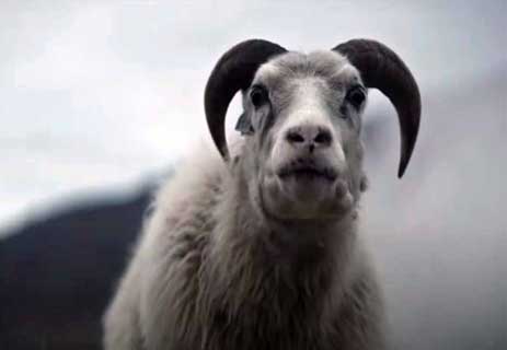 قصة فيلم Lamb