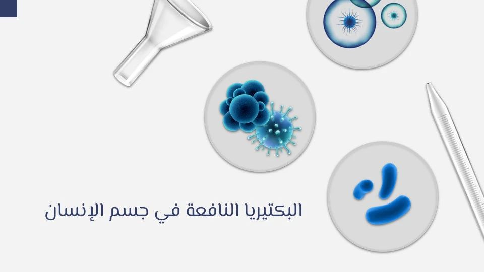 البكتيريا النافعةالبكتيريا الضارة