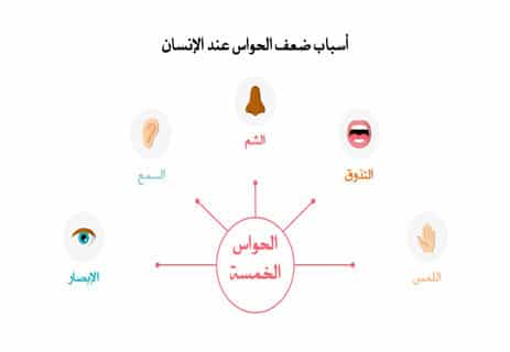وظائف الحواس الخمس