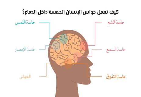 تأثير ضعف الحواس