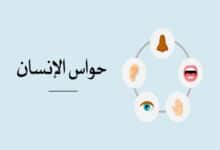 حواس الإنسان الخمسة