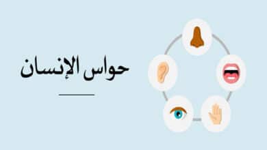 حواس الإنسان الخمسة