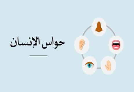 حواس الإنسان الخمسة: ماذا يحدث عند ضعفها أو زيادة قوتها؟ 20 حواس الإنسان الخمسة